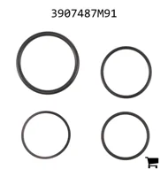 AGCO 3907487M91 Комплект соединений и прокладок