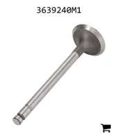 AGCO 3639240M1 Впускной клапан