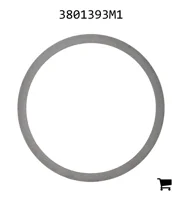 AGCO 3801393M1 Шайба