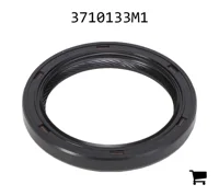 AGCO 3710133M1 Уплотнения