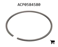 AGCO ACP0584580 Секция решетки