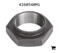 AGCO 4260540M1 Шестигранная гайка