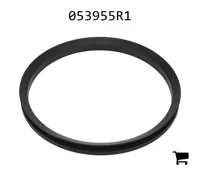 AGCO 053955R1 Уплотнительное кольцо