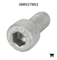 AGCO 3009270X1 Винт с цилиндрической головкой и шестигранным углублением