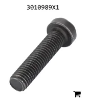 AGCO 3010989X1 Винт с потайной головкой
