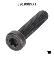 AGCO 3010989X1 Винт с потайной головкой