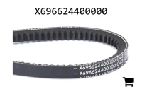 AGCO X696624400000 Ремень клиновой