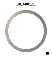 AGCO 3016801X1 Регулировочная шайба