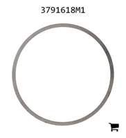 AGCO 3791618M1 Регулировочная шайба