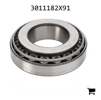 AGCO 3011182X91 Конический роликовый подшипник задней оси