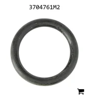 AGCO 3704761M2 Уплотнительное кольцо