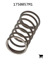 AGCO 1750057M1 Пружина