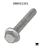 AGCO 3009213X1 Болт с шестигранной головкой и фланцем