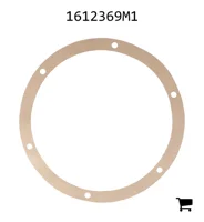AGCO 1612369M1 Прокладка