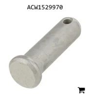 AGCO ACW1529970 Палец вилки