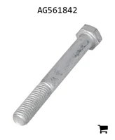 AGCO AG561842 Болт с шестигранной головкой