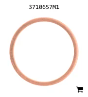 AGCO 3710657M1 Уплотнительное кольцо форсунки