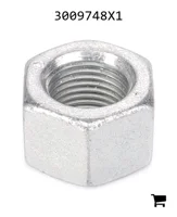 AGCO 3009748X1 Шестигранная гайка