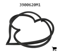 AGCO 3900620M1 Сальник правый