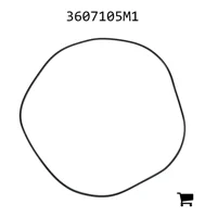 AGCO 3607105M1 Уплотнение крышки головки цилиндра
