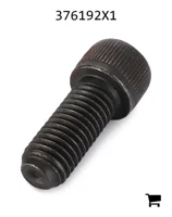 AGCO 376192X1 Винт