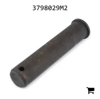 AGCO 3798029M2 Палец вилки