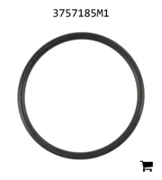 AGCO 3757185M1 Уплотнительное кольцо