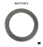 AGCO 069734P1 Шайба