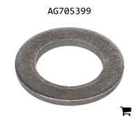 AGCO AG705399 Плоская шайба