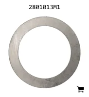 AGCO 2801013M1 Шайба