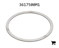 AGCO 3617500M1 Регулировочная шайба