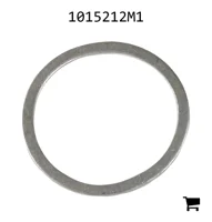 AGCO 1015212M1 Шайба