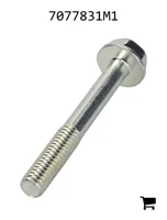 AGCO 7077831M1 Болт с шестигранной головкой и фланцем