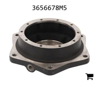 AGCO 3656678M5 Ступица