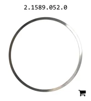 AGCO 2.1589.052.0 Шайба