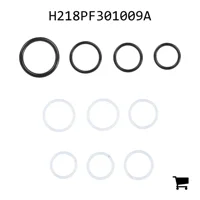 AGCO H218PF301009A Ремкомплект