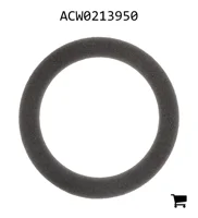 AGCO ACW0213950 Уплотнение