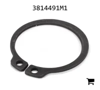 AGCO 3814491M1 Стопорное кольцо