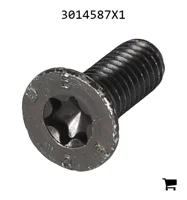 AGCO 3014587X1 Болт с плоской потайной головкой и шестигранным углублением