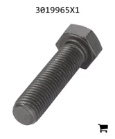 AGCO 3019965X1 Болт с шестигранной головкой