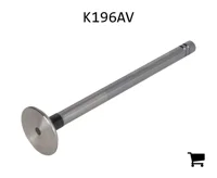 AGCO K196AV Клапан