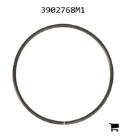 AGCO 3902768M1 Кольцо