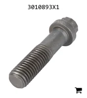 AGCO 3010893X1 Винт с 12-гранной фланцевой головкой