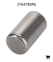 AGCO 3764785M1 Палец