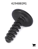 AGCO 4294802M1 Винт