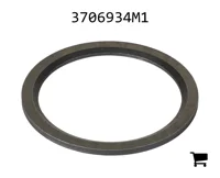 AGCO 3706934M1 Шайба