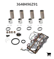 AGCO 3640496Z91 Комплект для капитального ремонта двигателя