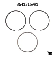 AGCO 3641316V91 Комплект колец
