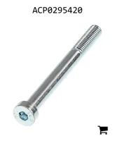 AGCO ACP0295420 Винт