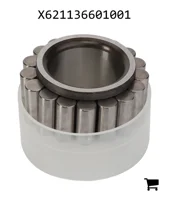 AGCO X621136601001 Цилиндрический роликовый подшипник
